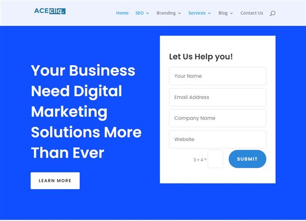 ACECLiQ - Digital Marketing Company